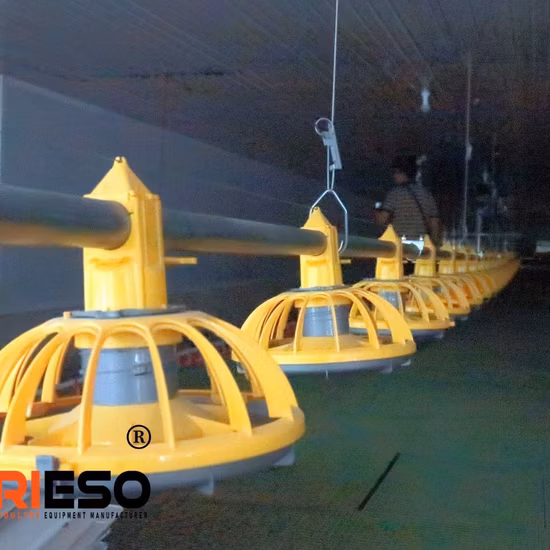 Leon Series Automatic Poultry Farming Livestock Equipment Piglet Modern Feeder Nipple Plastic Pure Origin Pan Warranty Feeding