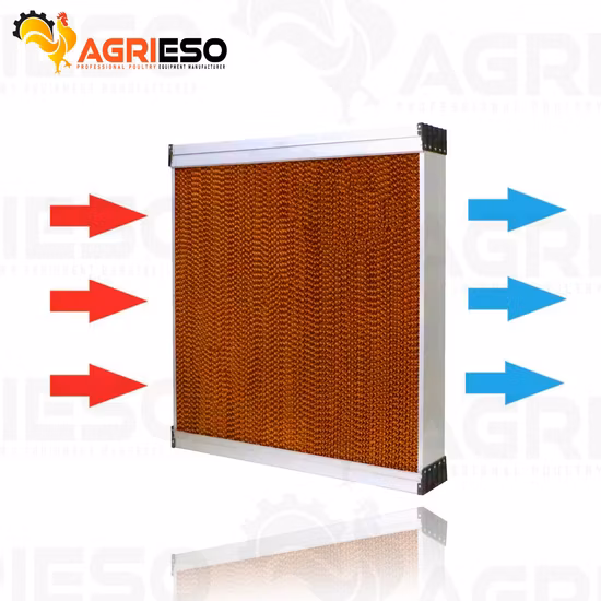 Leon Series Automatic Poultry Farming Livestock Equipment Piglet Modern Feeder Nipple Plastic Pure Origin Pan Warranty Feeding