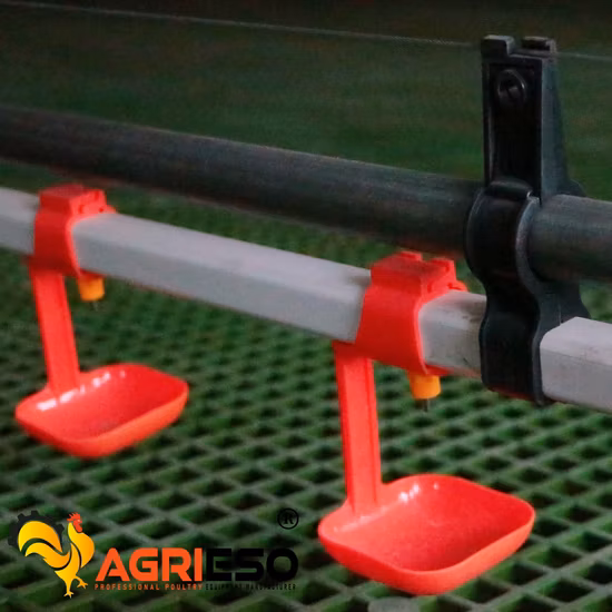 Leon Series Automatic Poultry Farming Livestock Equipment Piglet Modern Feeder Nipple Plastic Pure Origin Pan Warranty Feeding