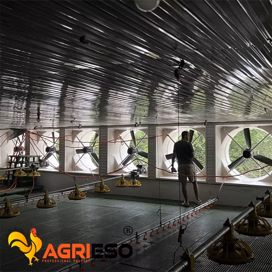 Leon Series Automatic Poultry Farming Livestock Equipment Piglet Modern Feeder Nipple Plastic Pure Origin Pan Warranty Feeding