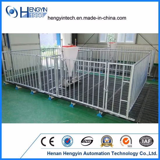 Hengyin High Quality Fattening Crate for Finishing Pigs