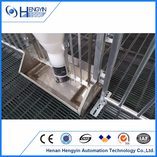 Hengyin High Quality Fattening Crate for Finishing Pigs