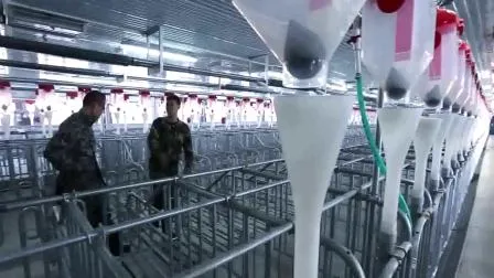 Hengyin High Quality Fattening Crate for Finishing Pigs