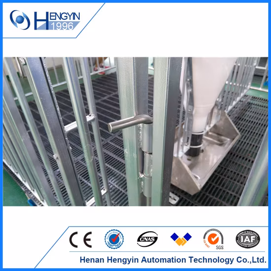 Hochwertige Mastbox von Hengyin für Mastschweine